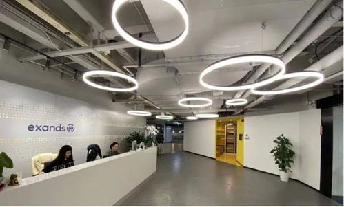 長寧三家企業(yè)榮登上海軟件外包服務(wù)立項(xiàng)名單，助力區(qū)域數(shù)字經(jīng)濟(jì)發(fā)展