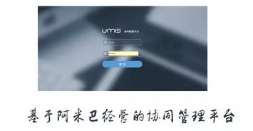 上海互聯(lián)網(wǎng)軟件集團(tuán) 高端協(xié)同管理軟件與咨詢服務(wù)領(lǐng)軍者