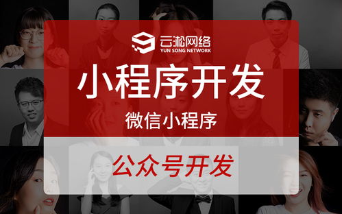 軟件測試外包服務(wù)市場概覽與測試開發(fā)崗位前景分析