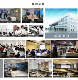 牛耳教育2019年度招生簡(jiǎn)章暨軟件外包服務(wù)簡(jiǎn)介